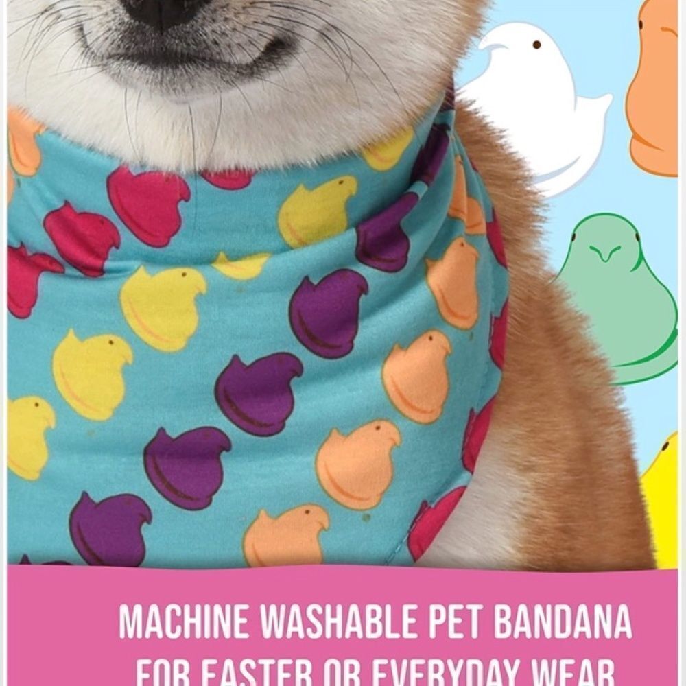 New Pet Dog Bandana - Picture 3 of 14